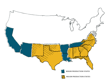 Peanut-Production-Map-large